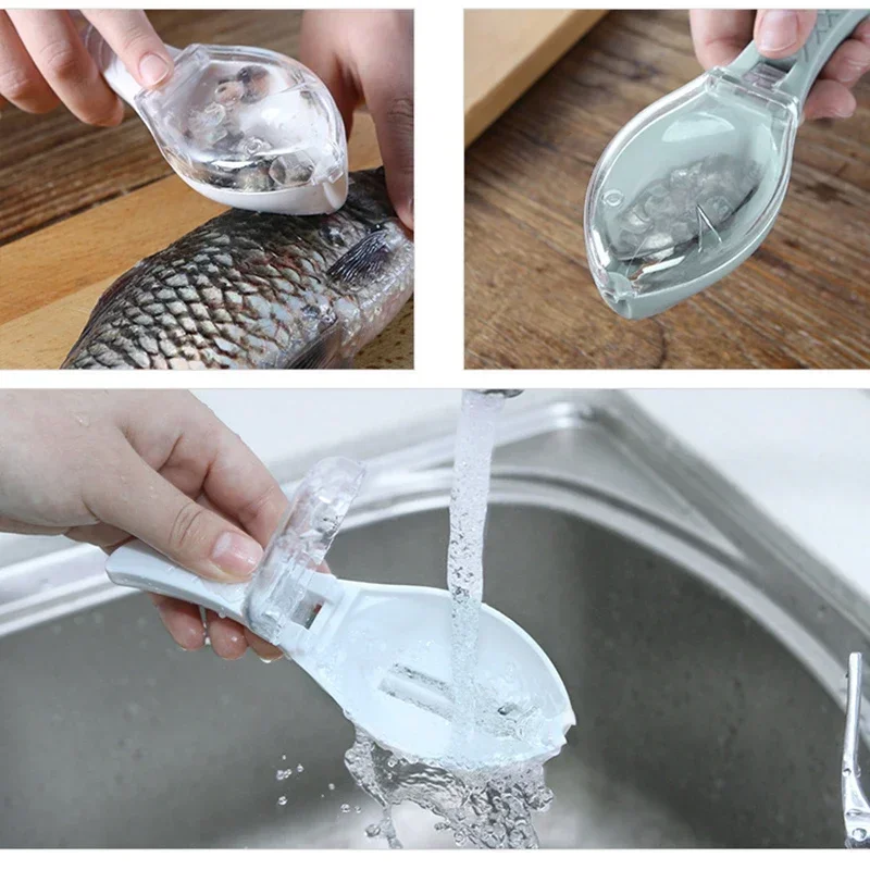 Manual Fish Scale Scraper with - Fishing Equipment Kitchener ulasan dan harga