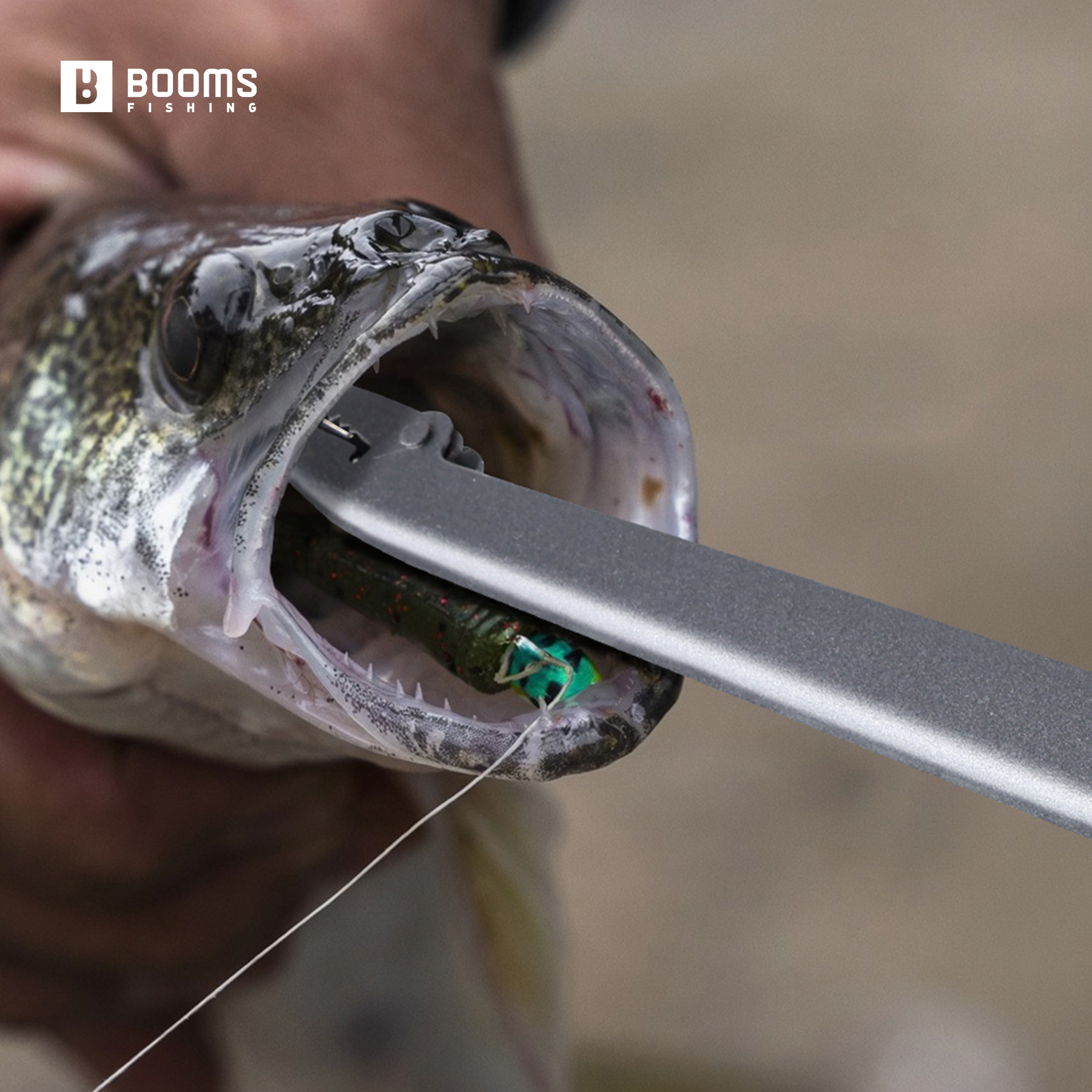 Booms Fishing 25cm Carbon Stee - Fishing Equipment Warehouse ulasan dan harga